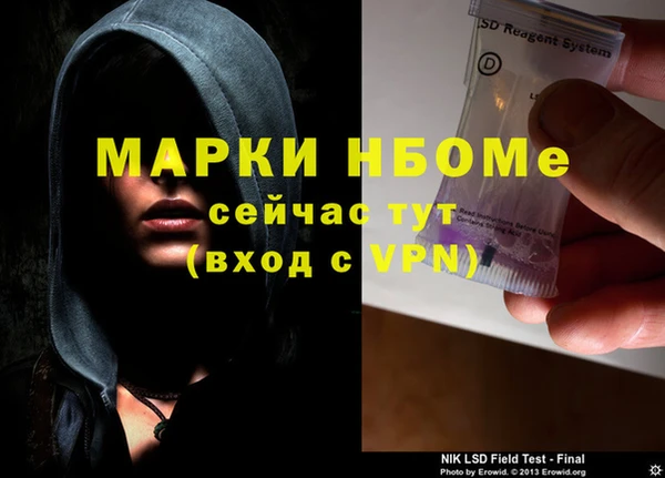 ГАЛЛЮЦИНОГЕННЫЕ ГРИБЫ Баксан
