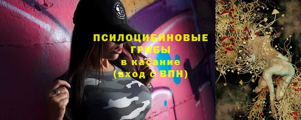 apvp Балахна