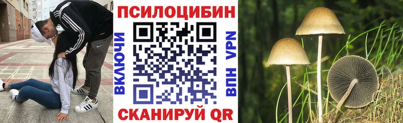 Галлюциногенные грибы Cubensis  Дальнегорск 
